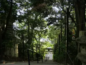 写真No.4