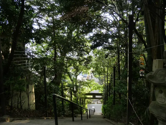 写真No.4