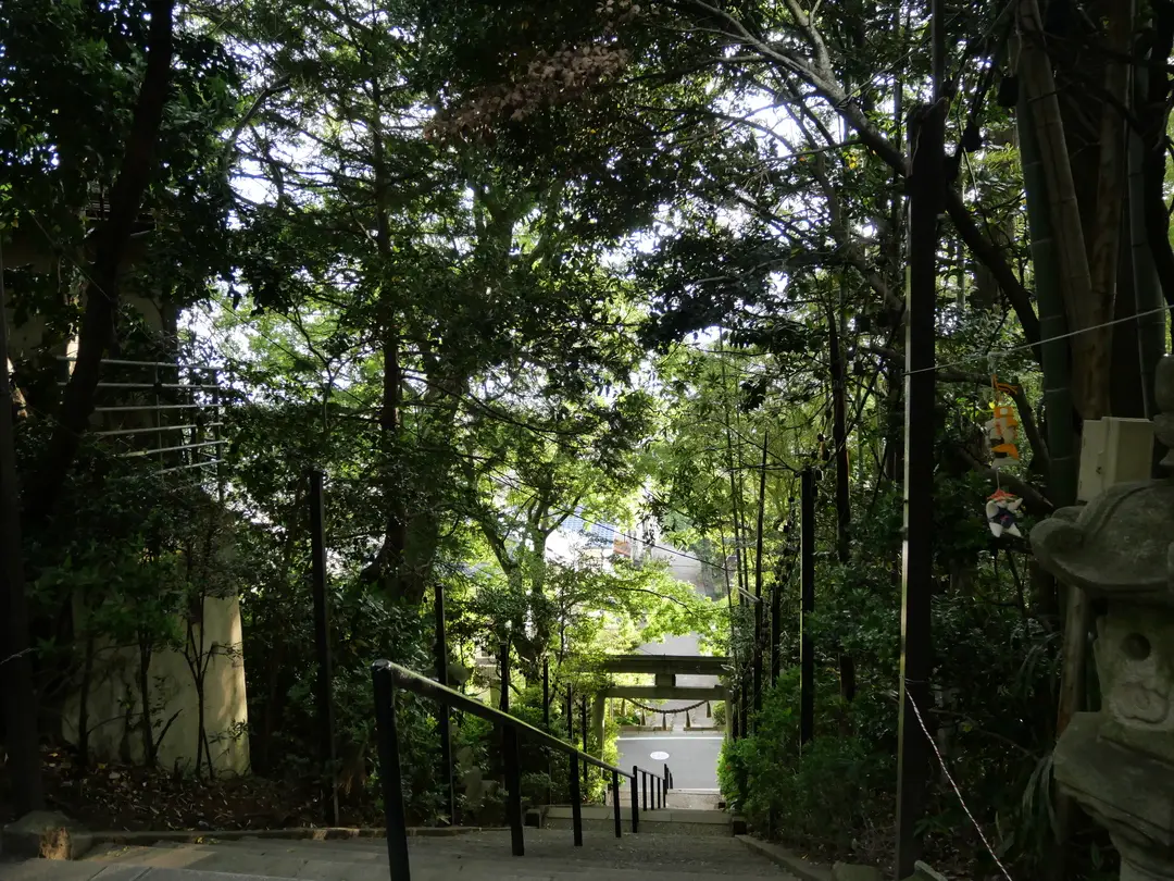 写真No.4