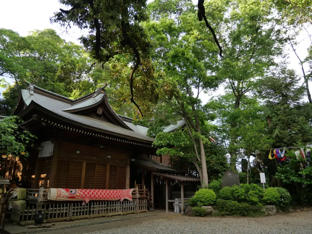 写真No.7