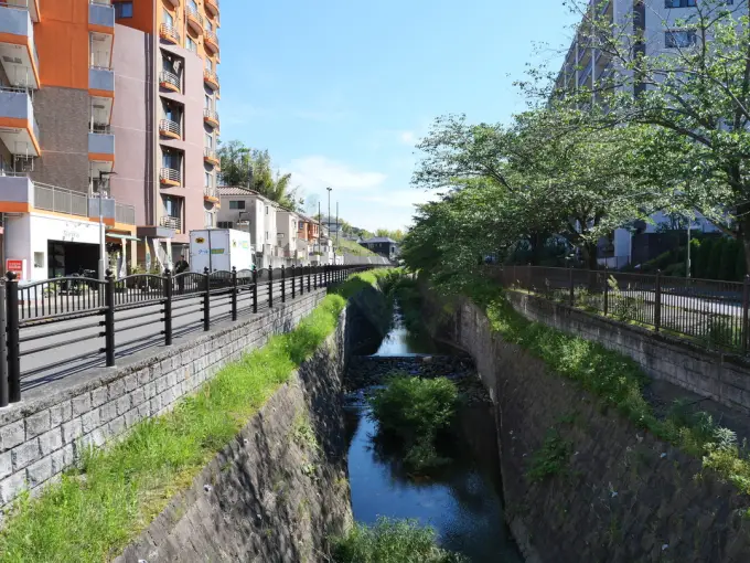 写真No.1