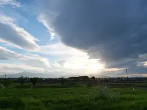 写真No.2
