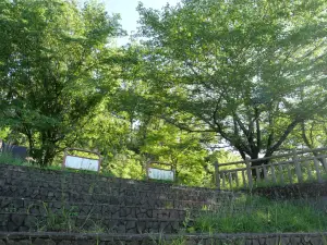 写真No.8