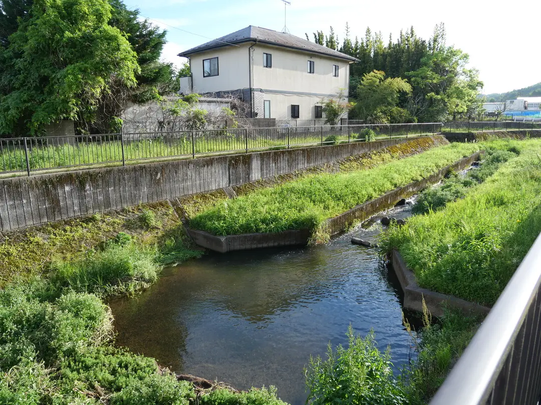 写真No.5