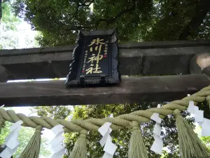 写真No.7
