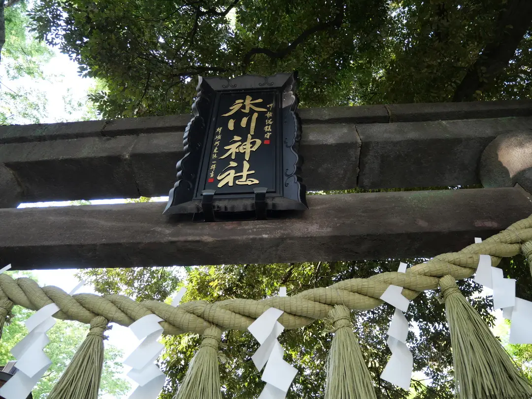 写真No.7