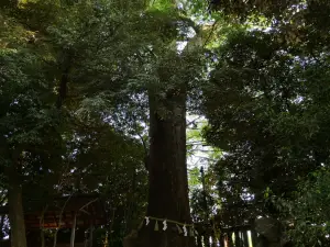 写真No.18