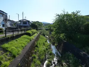 写真No.9