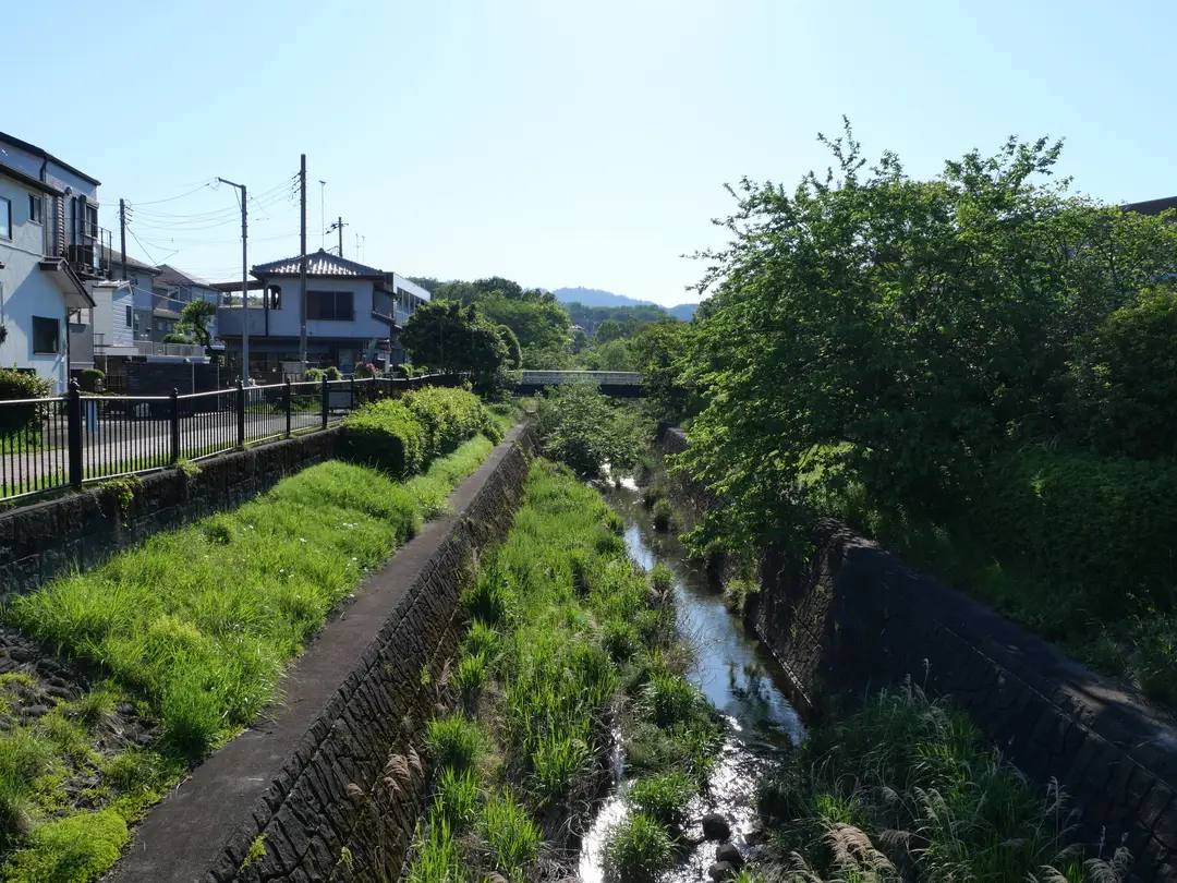 写真No.9