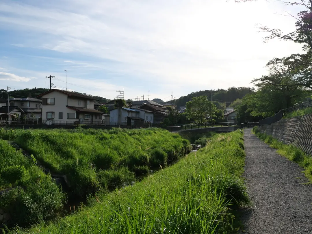 写真No.7