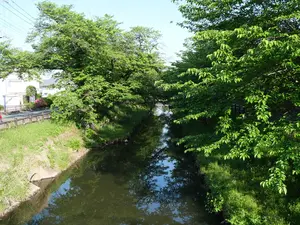写真No.11