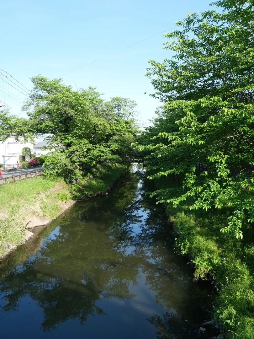 写真No.11