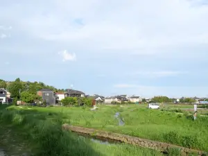 写真No.2