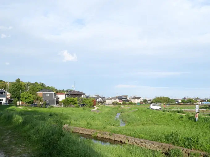 写真No.2