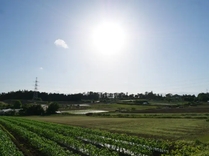 写真No.2