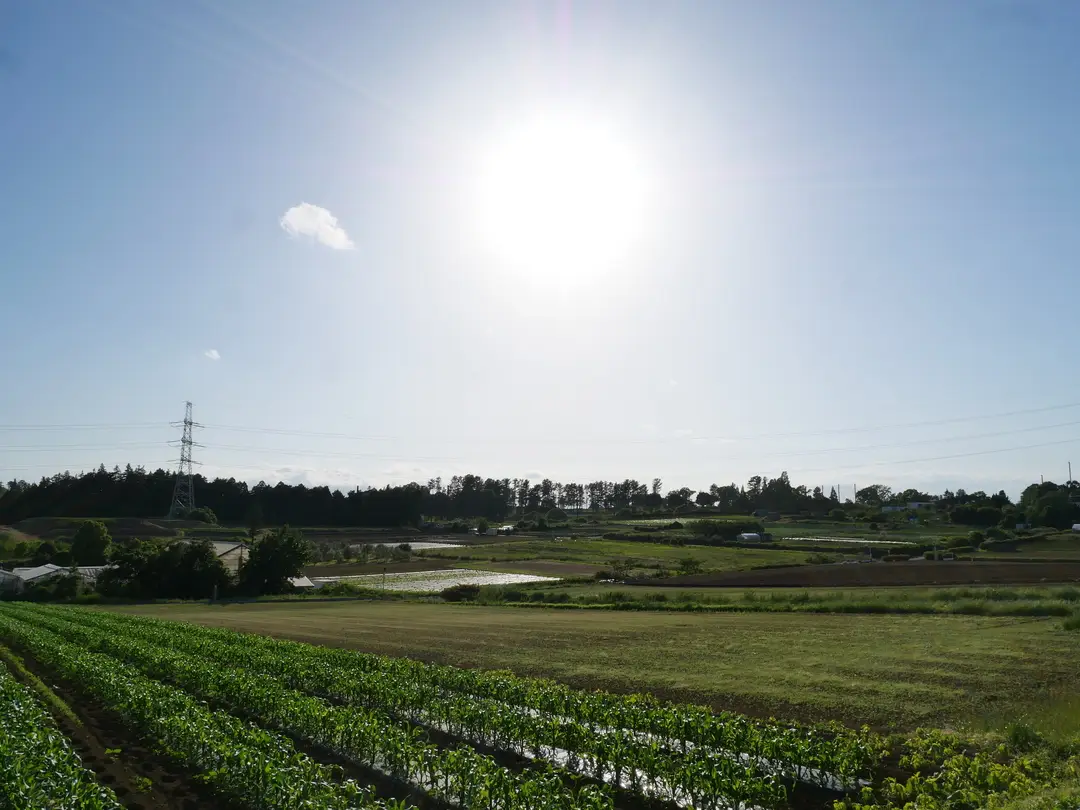 写真No.2