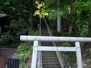 写真No.9