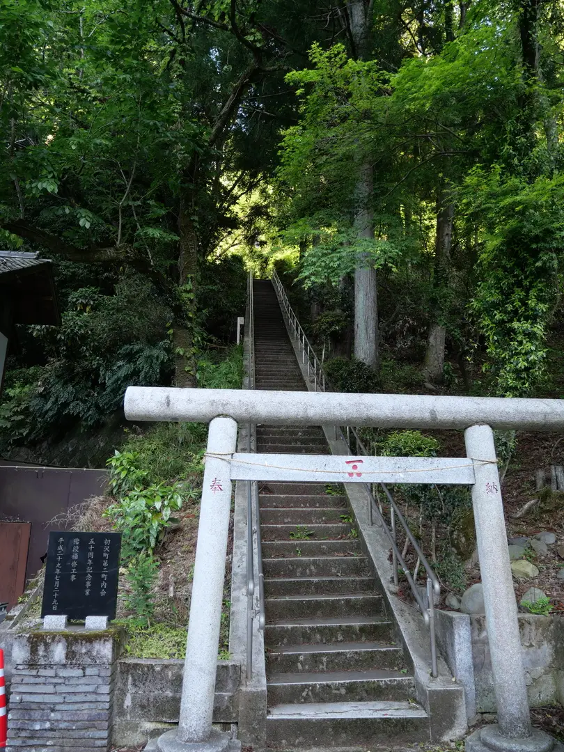 写真No.9