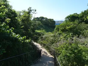 写真No.5