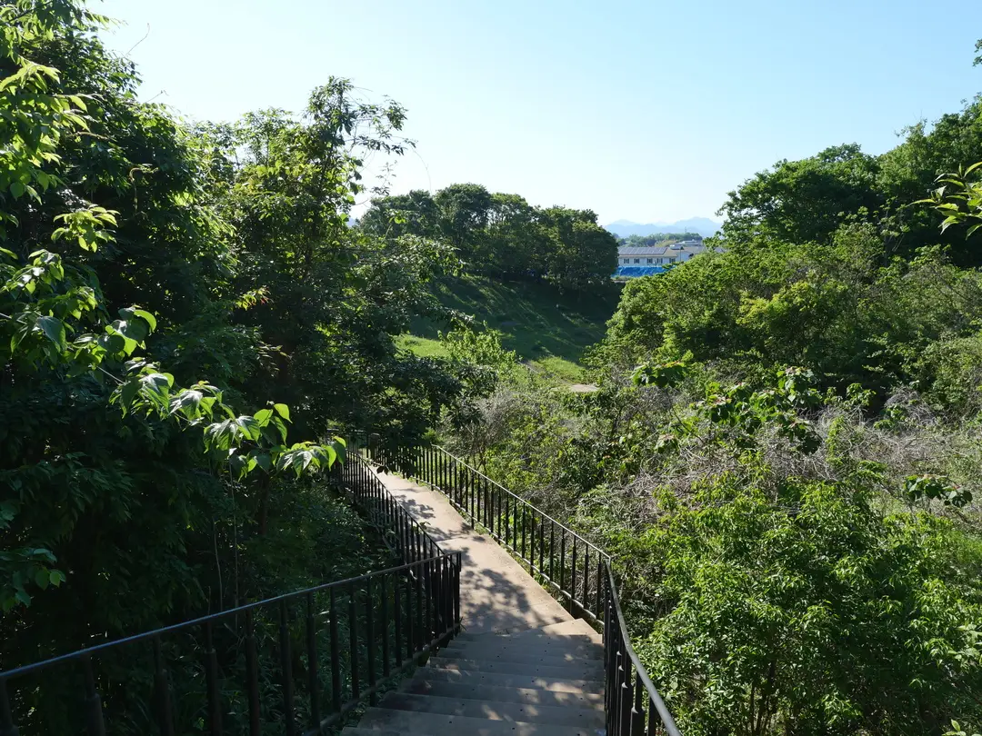 写真No.5