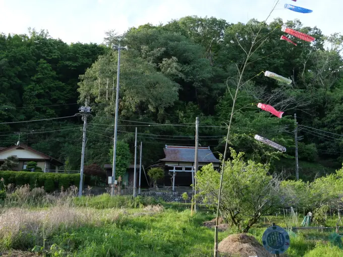 写真No.1