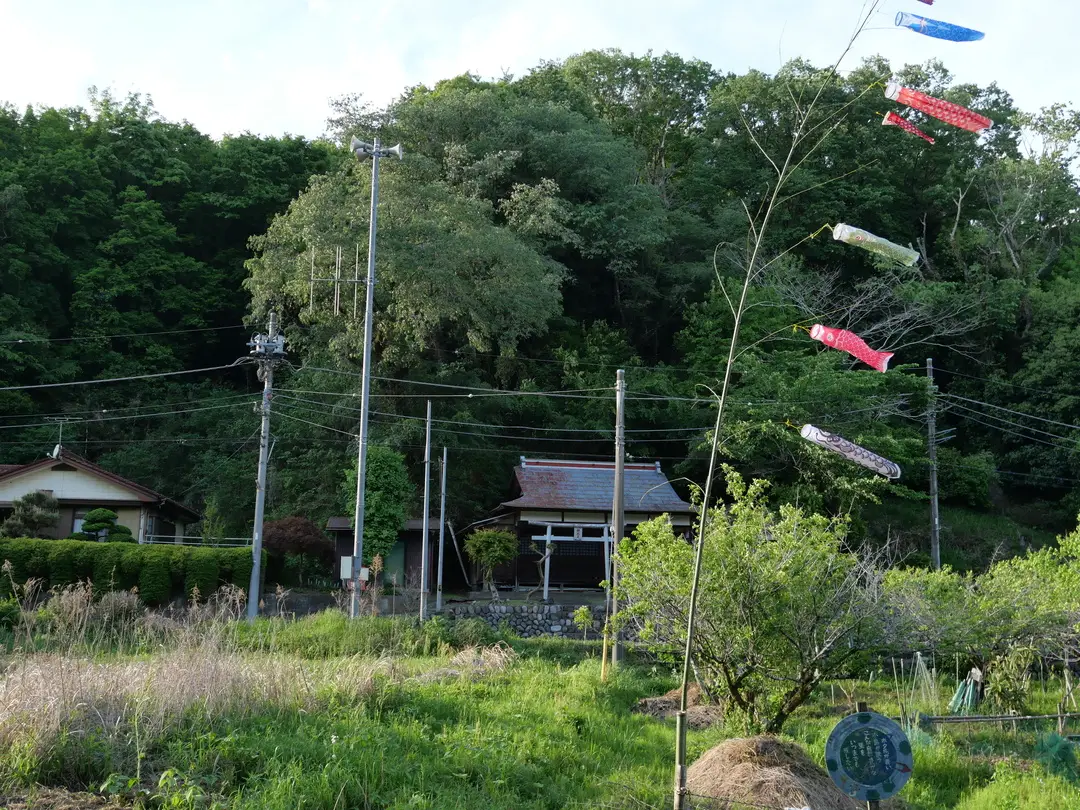 写真No.1