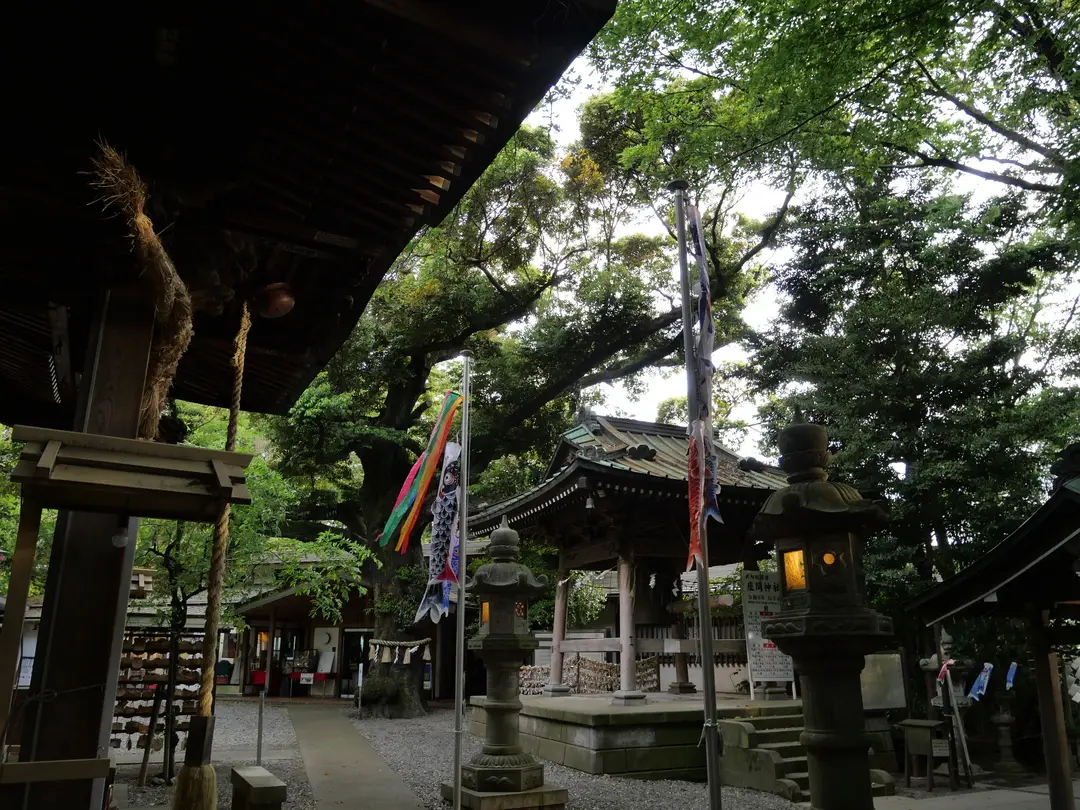 写真No.15