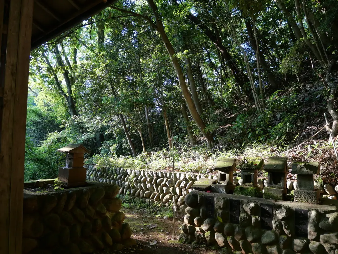 写真No.12