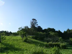 写真No.3