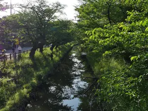 写真No.12