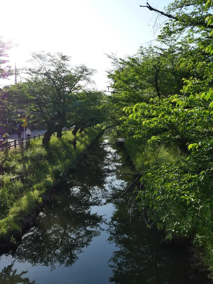写真No.12
