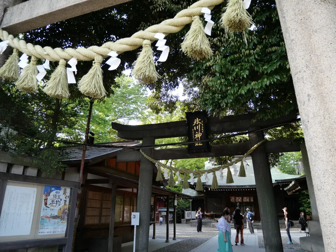 写真No.1