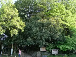 写真No.13
