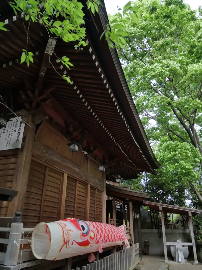 写真No.16
