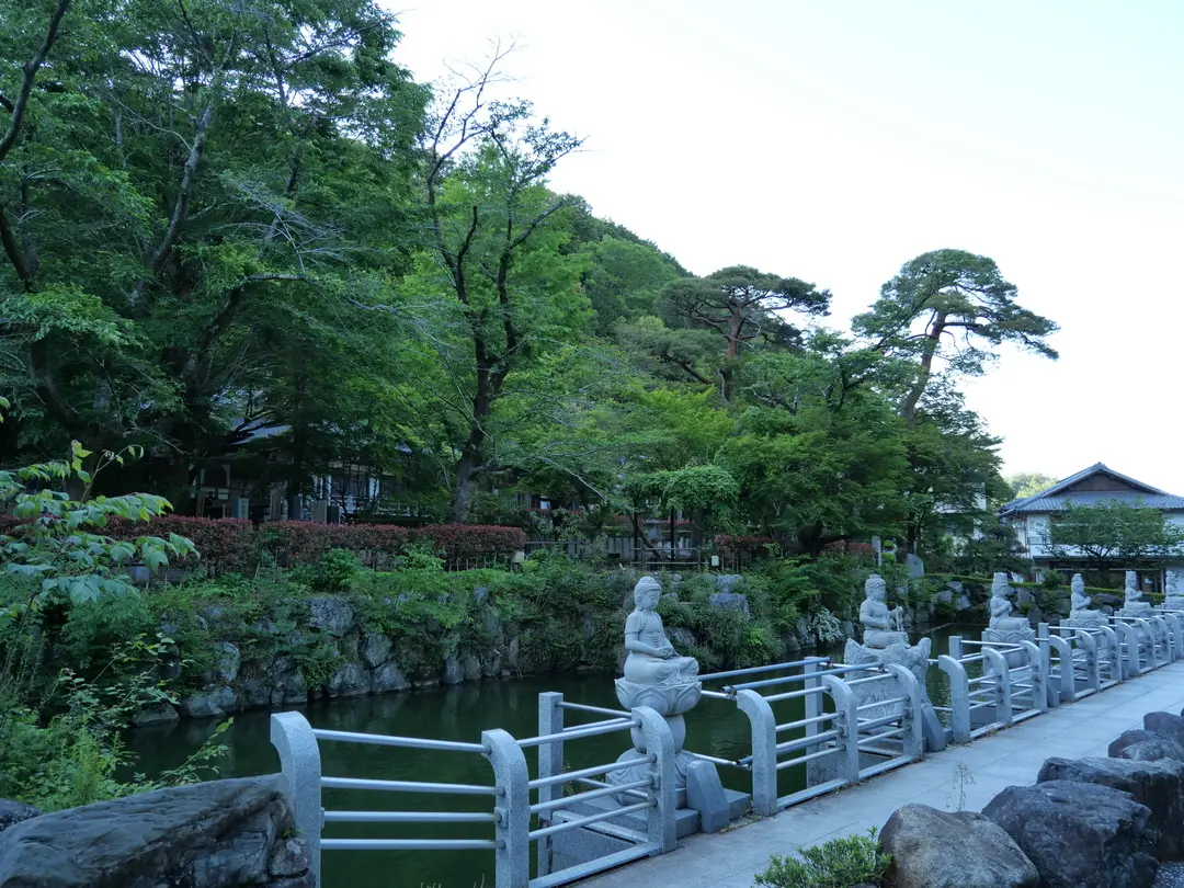 写真No.8