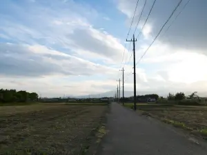 写真No.1