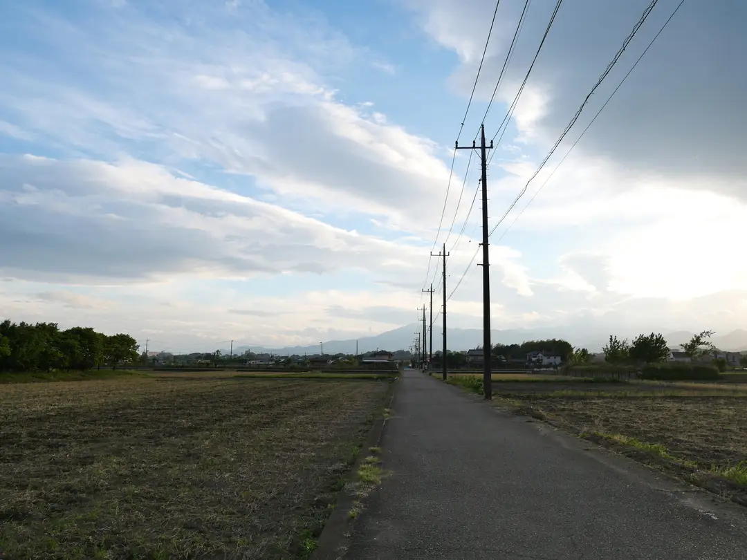 写真No.1