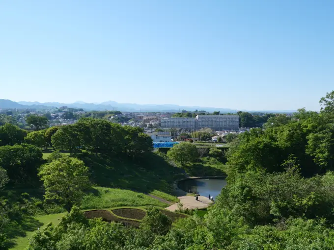 写真No.1