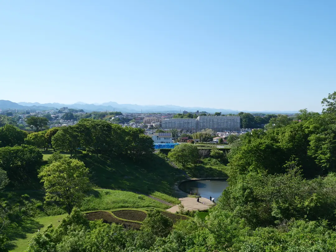 写真No.1