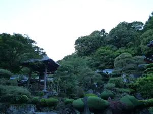 写真No.7