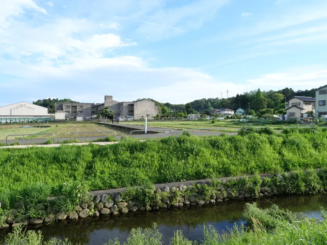 写真No.3