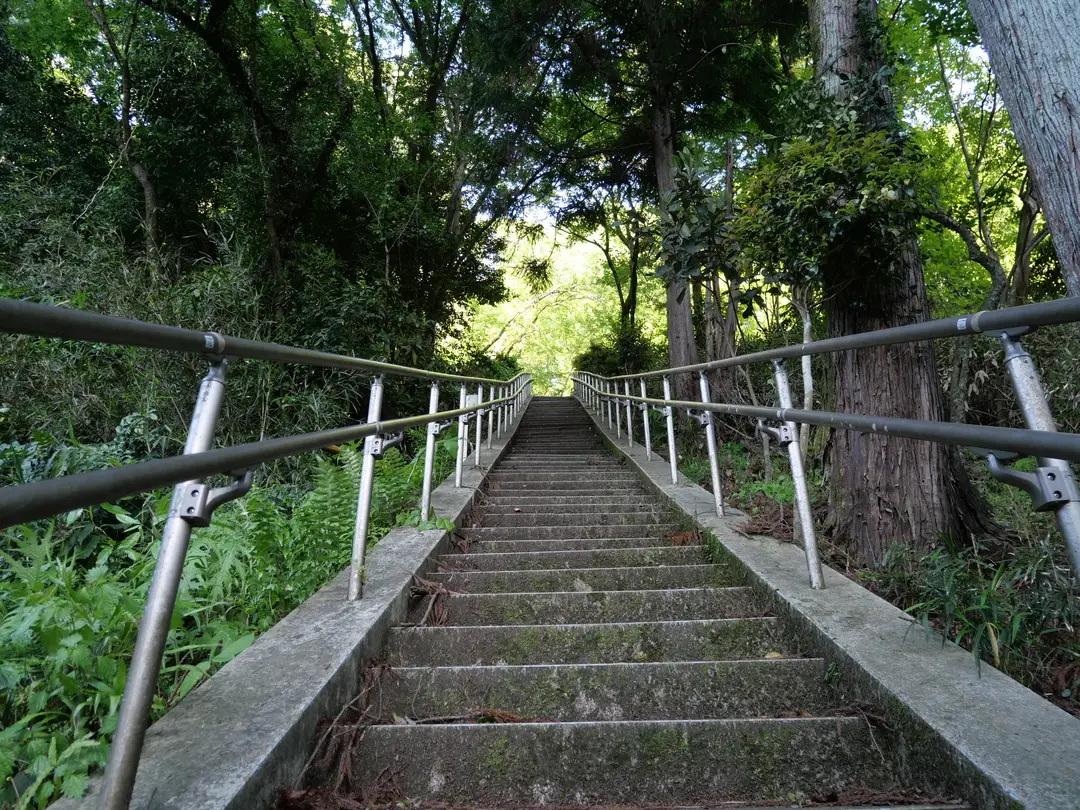 写真No.10
