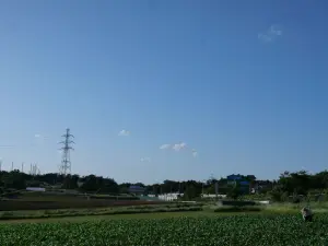 写真No.3