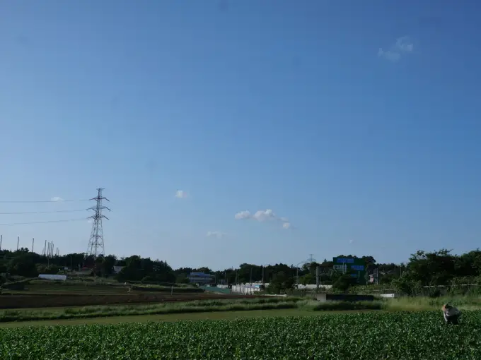 写真No.3