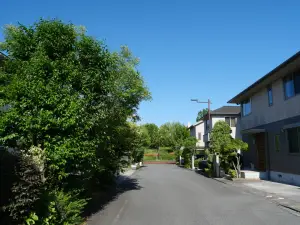 写真No.5