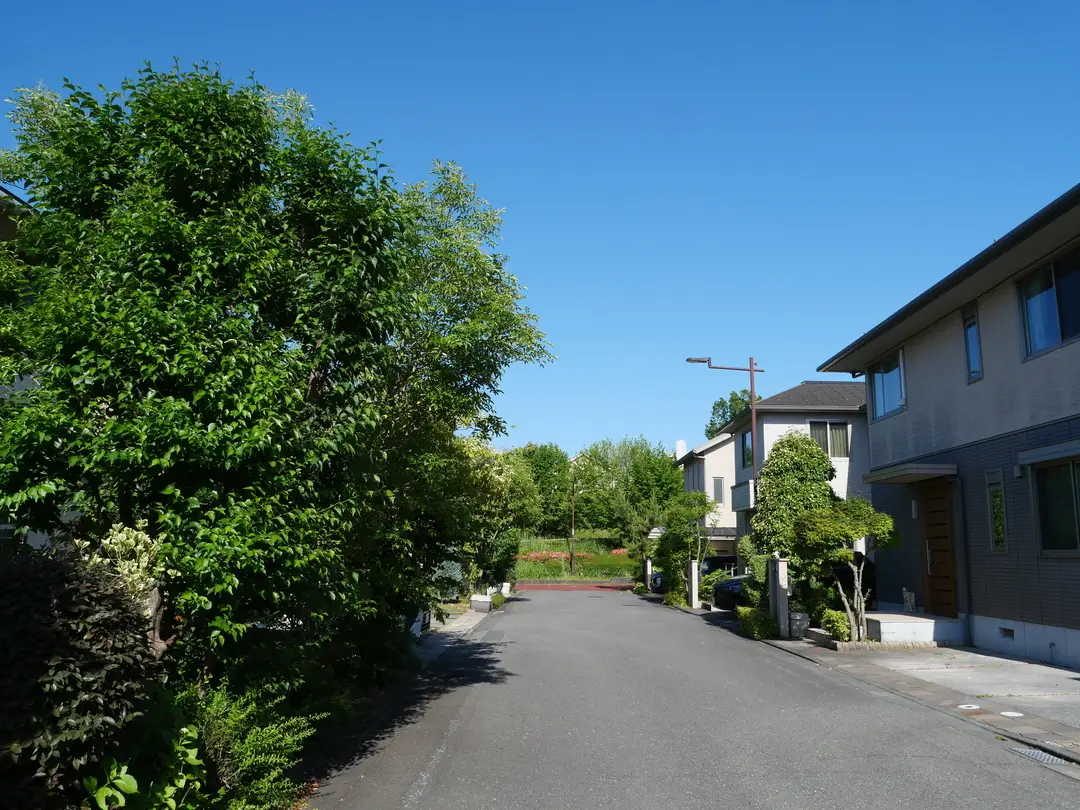 写真No.5