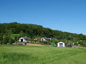 写真No.1