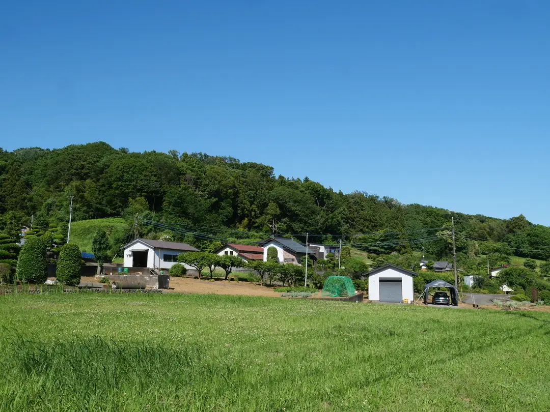 写真No.1