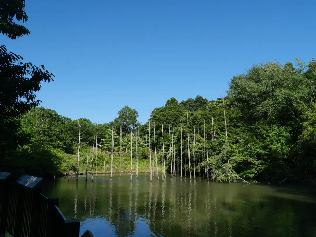 写真No.2