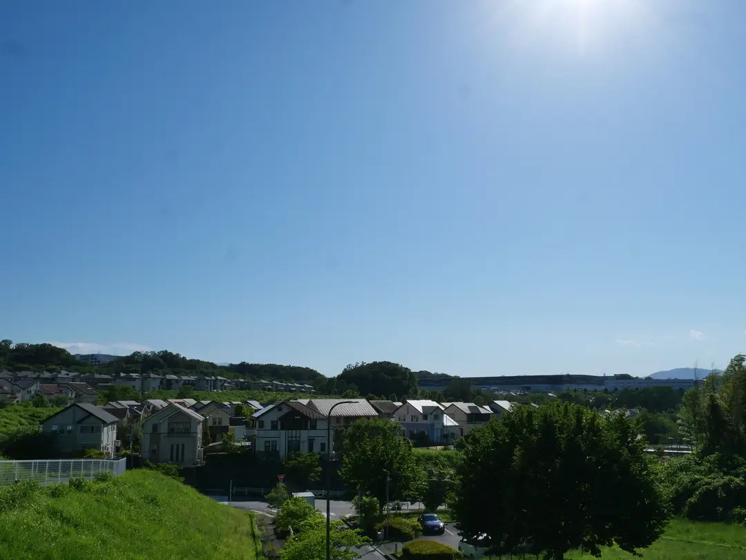 写真No.10